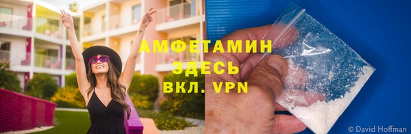 ПСИЛОЦИБИНОВЫЕ ГРИБЫ Абинск