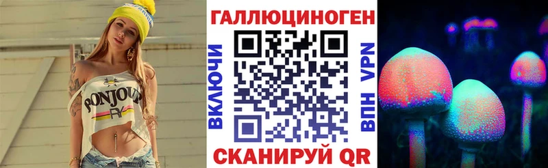 MEGA сайт Щёкино Псилоцибиновые грибы Psilocybe